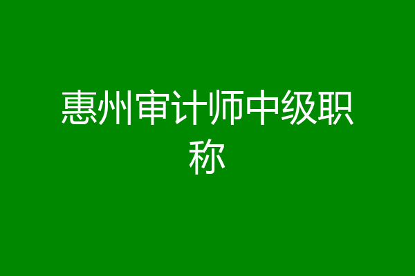 惠州审计师中级职称