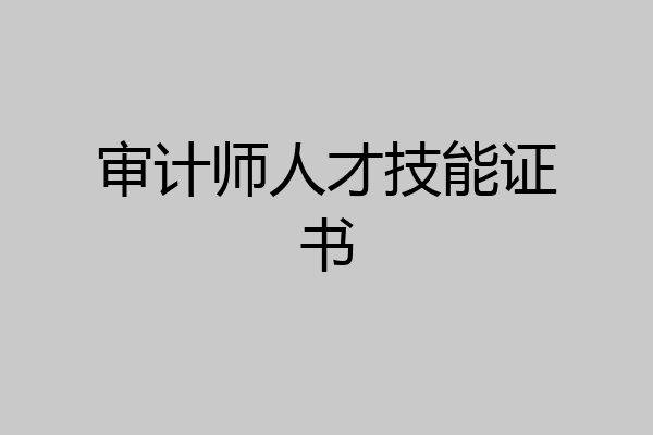 审计师人才技能证书