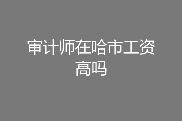 审计师在哈市工资高吗