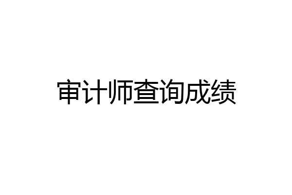 审计师查询成绩