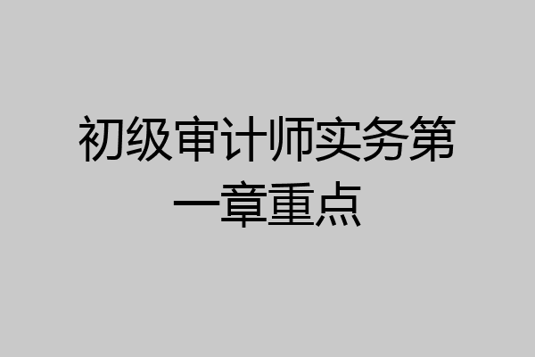 初级审计师实务第一章重点
