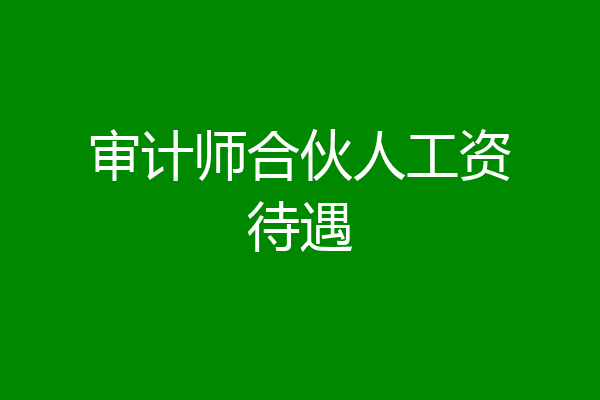 审计师合伙人工资待遇