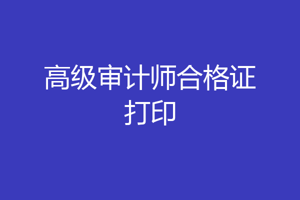 高级审计师合格证打印
