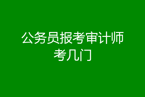 公务员报考审计师考几门