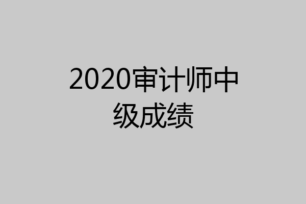 2020审计师中级成绩