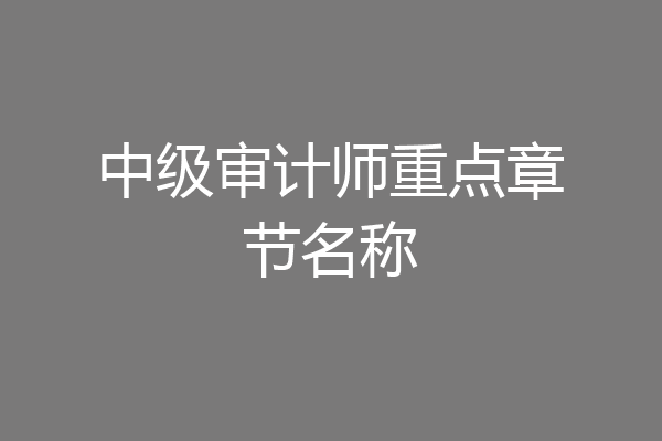 中级审计师重点章节名称