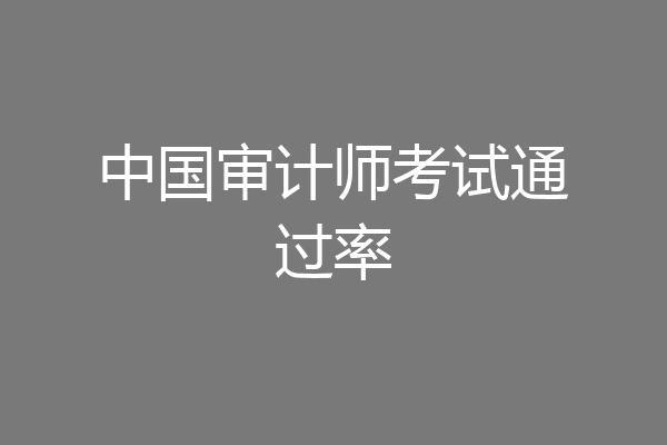 中国审计师考试通过率