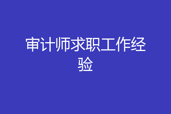 审计师求职工作经验