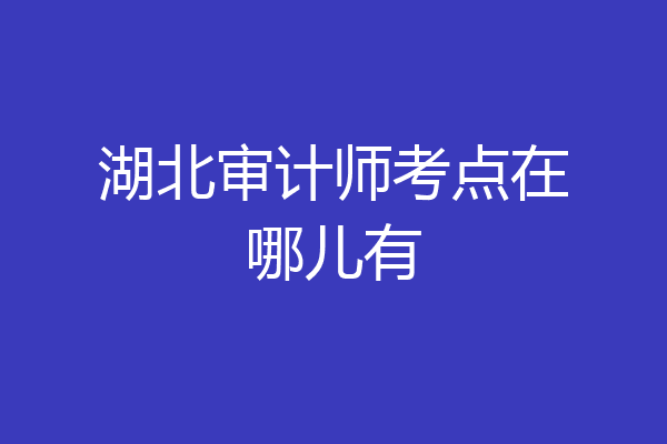 湖北审计师考点在哪儿有
