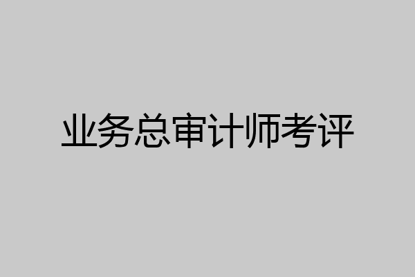 业务总审计师考评