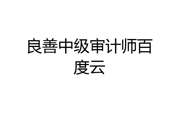良善中级审计师百度云