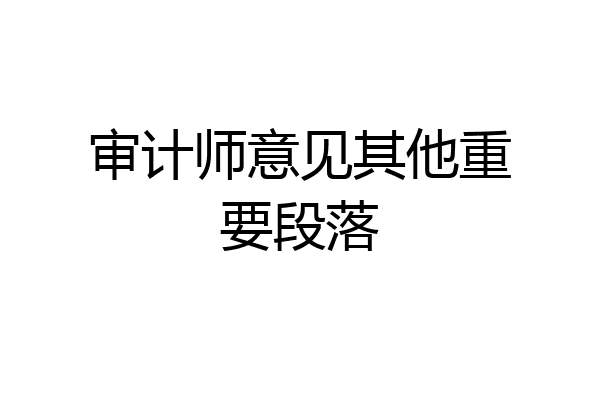 审计师意见其他重要段落