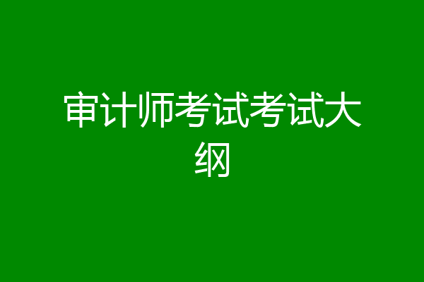 审计师考试考试大纲