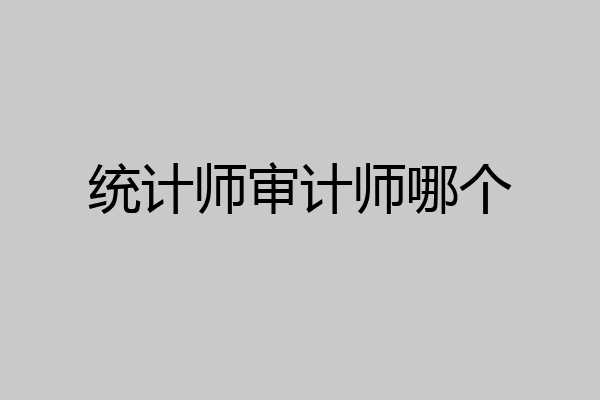 统计师审计师哪个