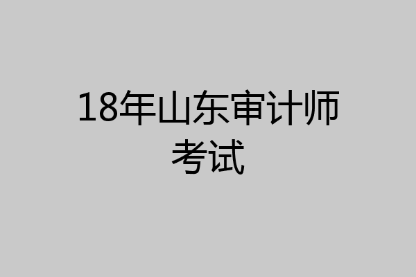 18年山东审计师考试