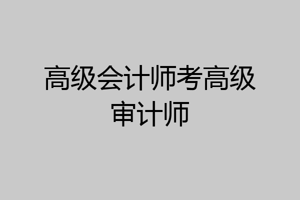 高级会计师考高级审计师