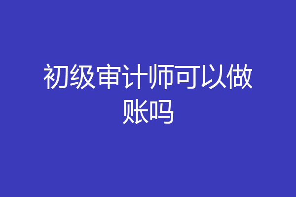 初级审计师可以做账吗