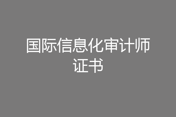 国际信息化审计师证书
