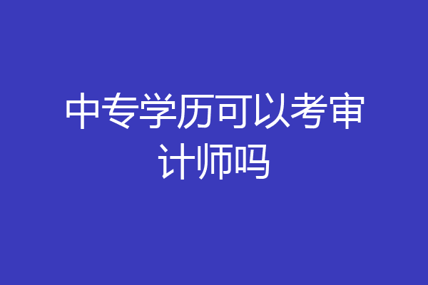 中专学历可以考审计师吗