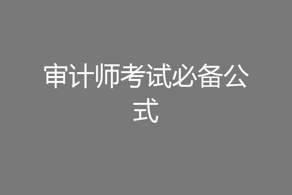 审计师考试必备公式