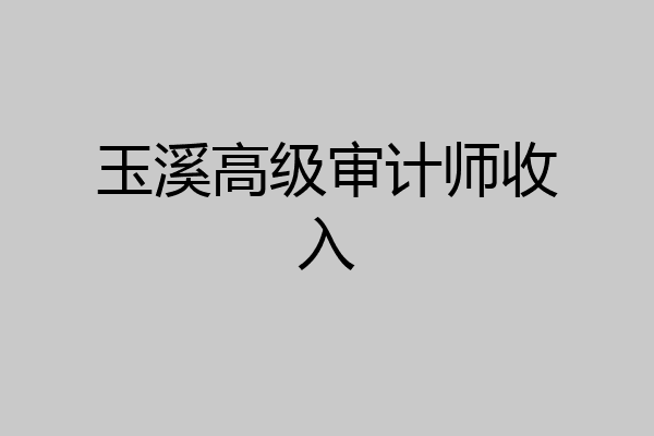 玉溪高级审计师收入