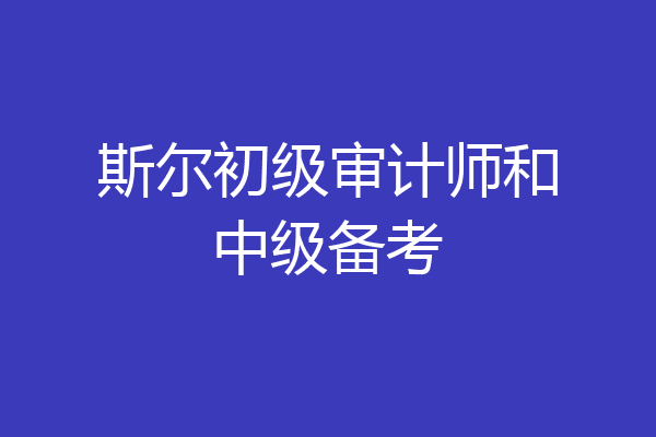 斯尔初级审计师和中级备考