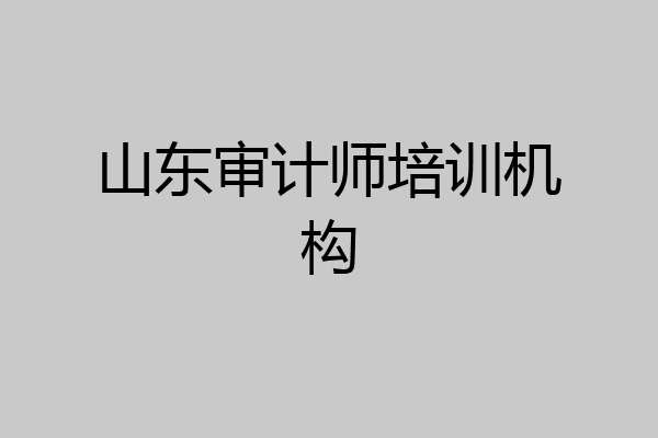 山东审计师培训机构