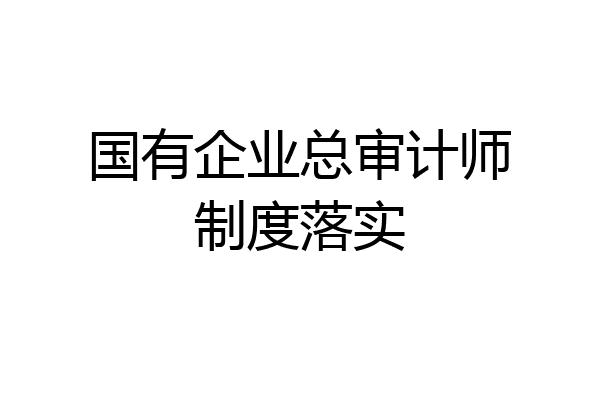 国有企业总审计师制度落实
