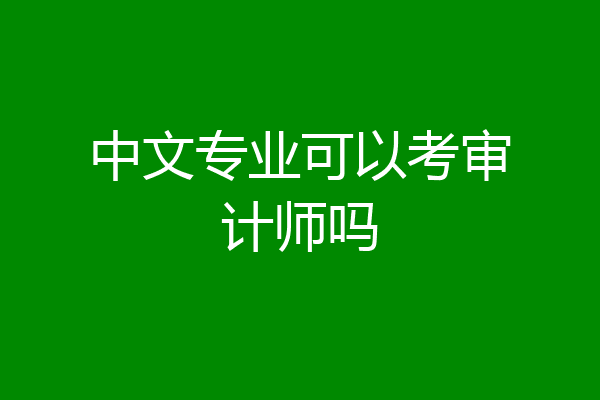 中文专业可以考审计师吗