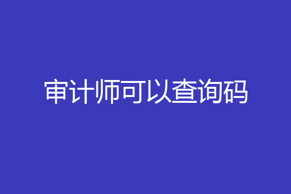 审计师可以查询码