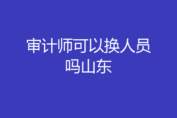 审计师可以换人员吗山东