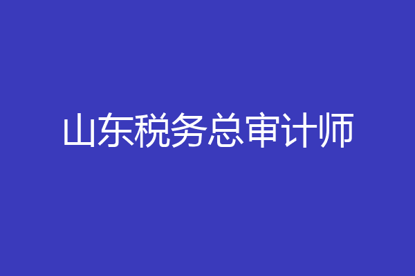 山东税务总审计师