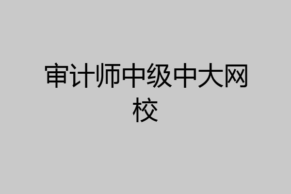 审计师中级中大网校