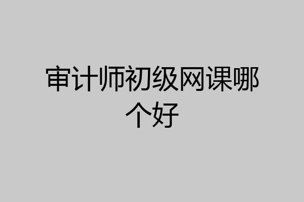 审计师初级网课哪个好
