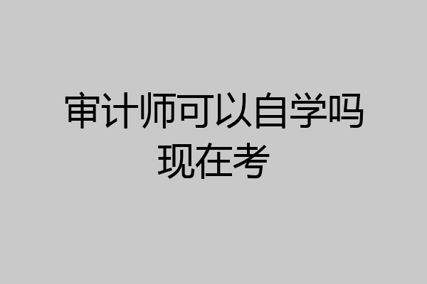 审计师可以自学吗现在考