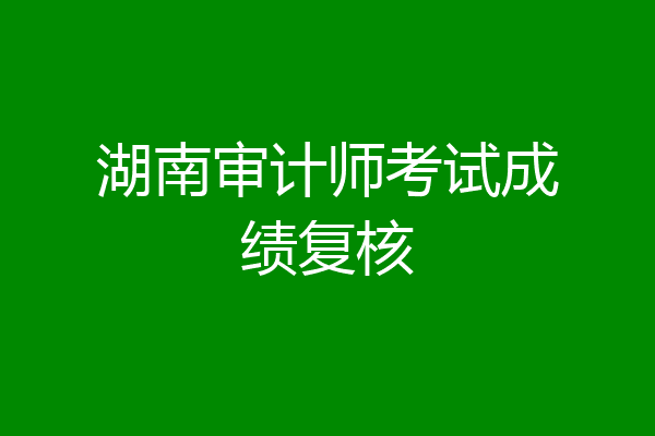 湖南审计师考试成绩复核