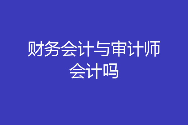 财务会计与审计师会计吗