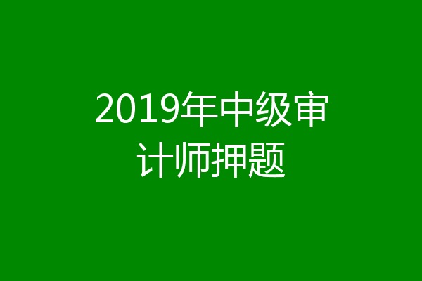 2019年中级审计师押题
