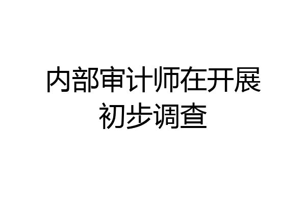 内部审计师在开展初步调查