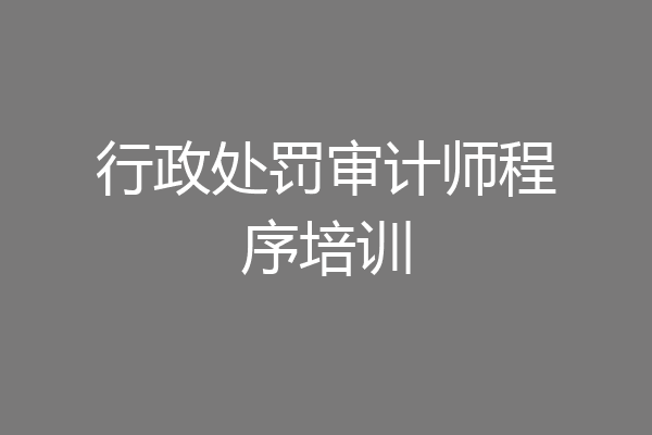行政处罚审计师程序培训