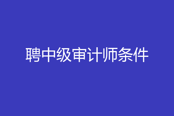 聘中级审计师条件