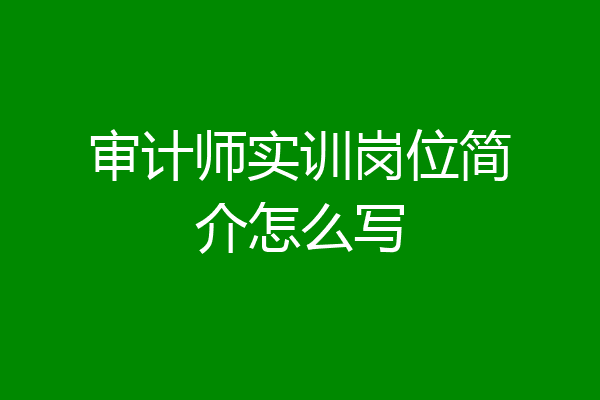 审计师实训岗位简介怎么写