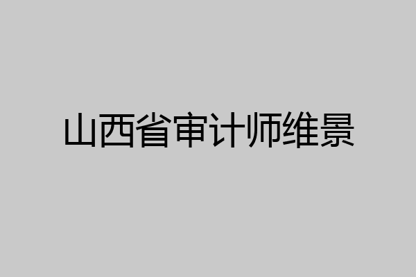 山西省审计师维景