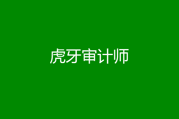 虎牙审计师