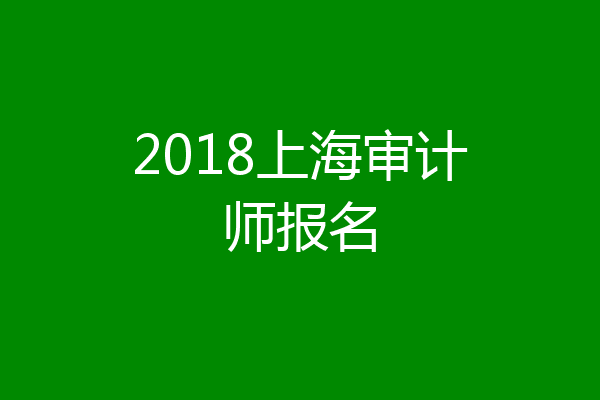 2018上海审计师报名