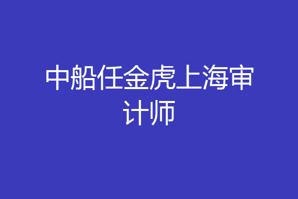 中船任金虎上海审计师