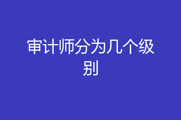 审计师分为几个级别