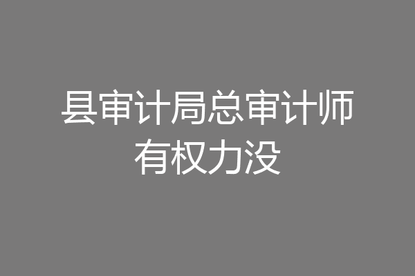 县审计局总审计师有权力没
