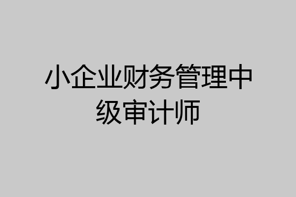 小企业财务管理中级审计师