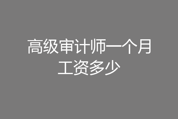 高级审计师一个月工资多少
